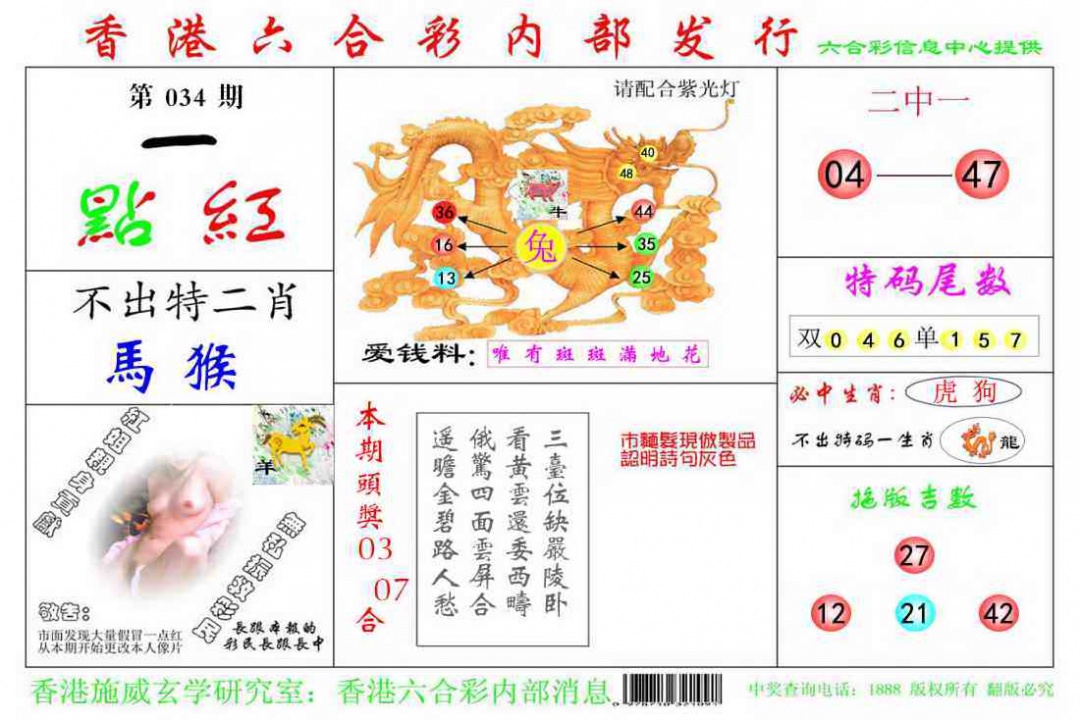 034期一点红[图]